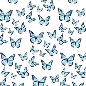 Meet your Posher, Mari